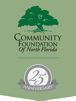 strategic plan cfnf banner